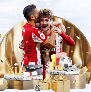 队报：里昂或将在近期被出售，米歇尔